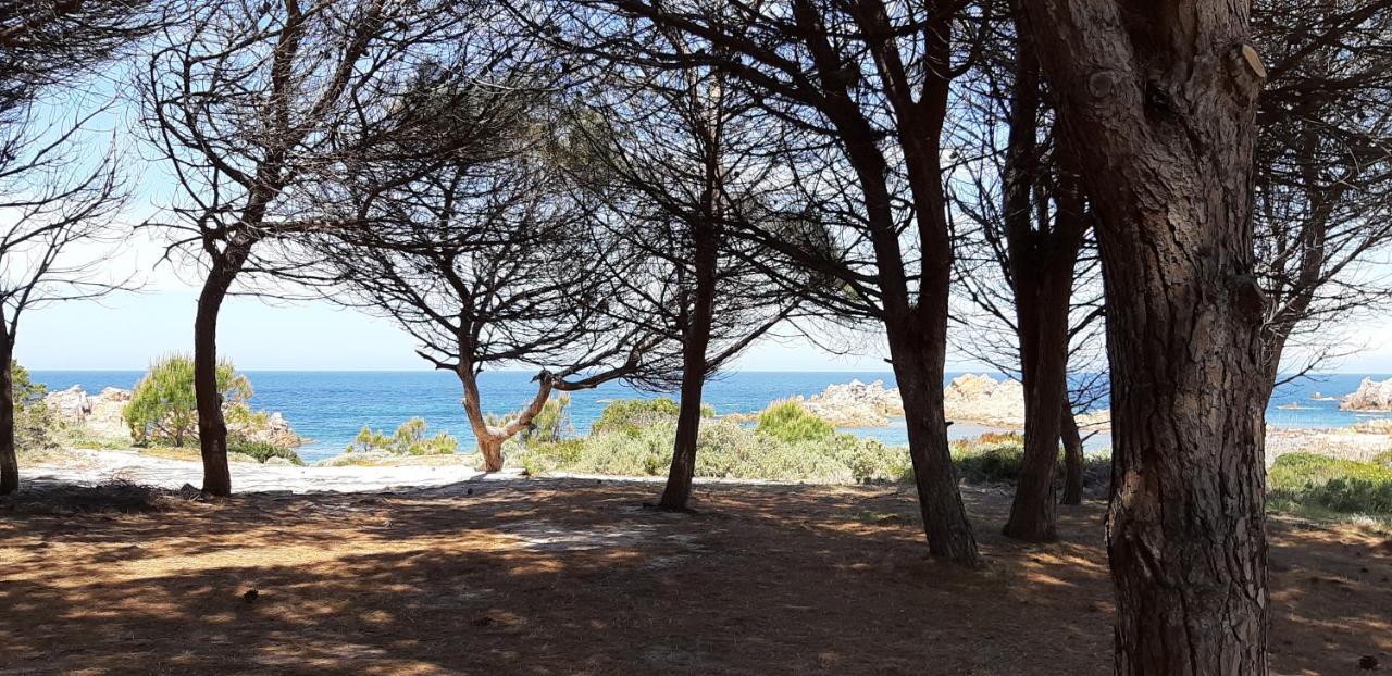 Mare Natura Confort... Il Mio Paradiso In Sardegna Isola Rossa Eksteriør bilde